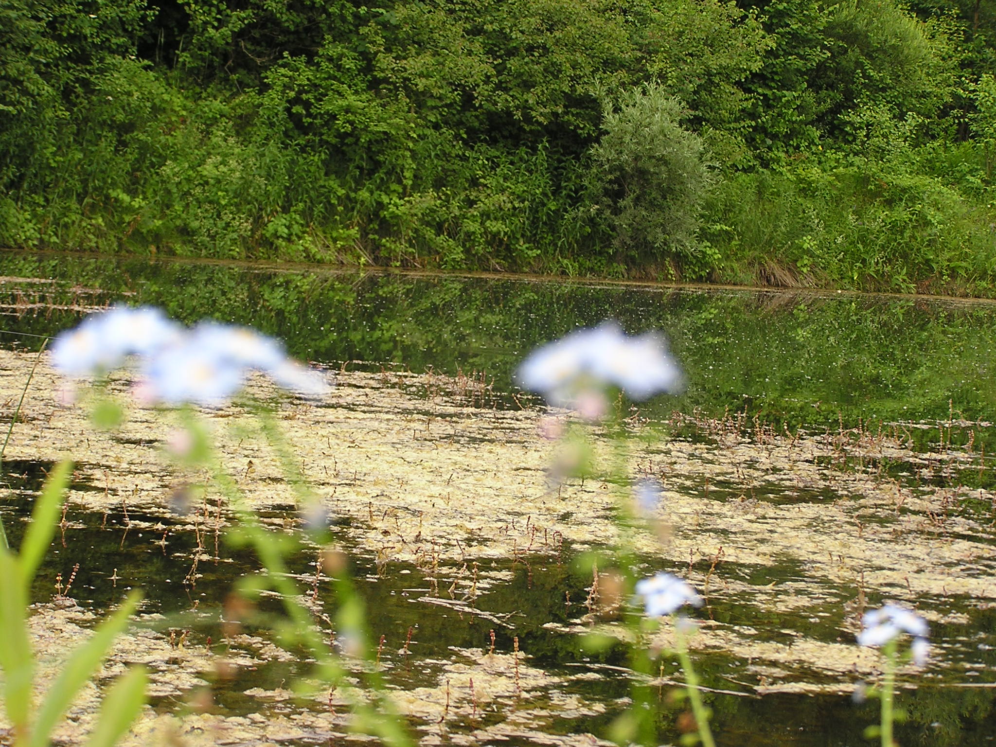 P1010018.JPG